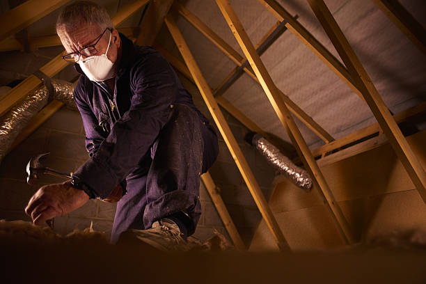 Best Commercial Insulation in Laporte, CO